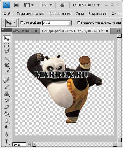 Прозрачный фон в фотошопе Прозрачный фон в фотошопе